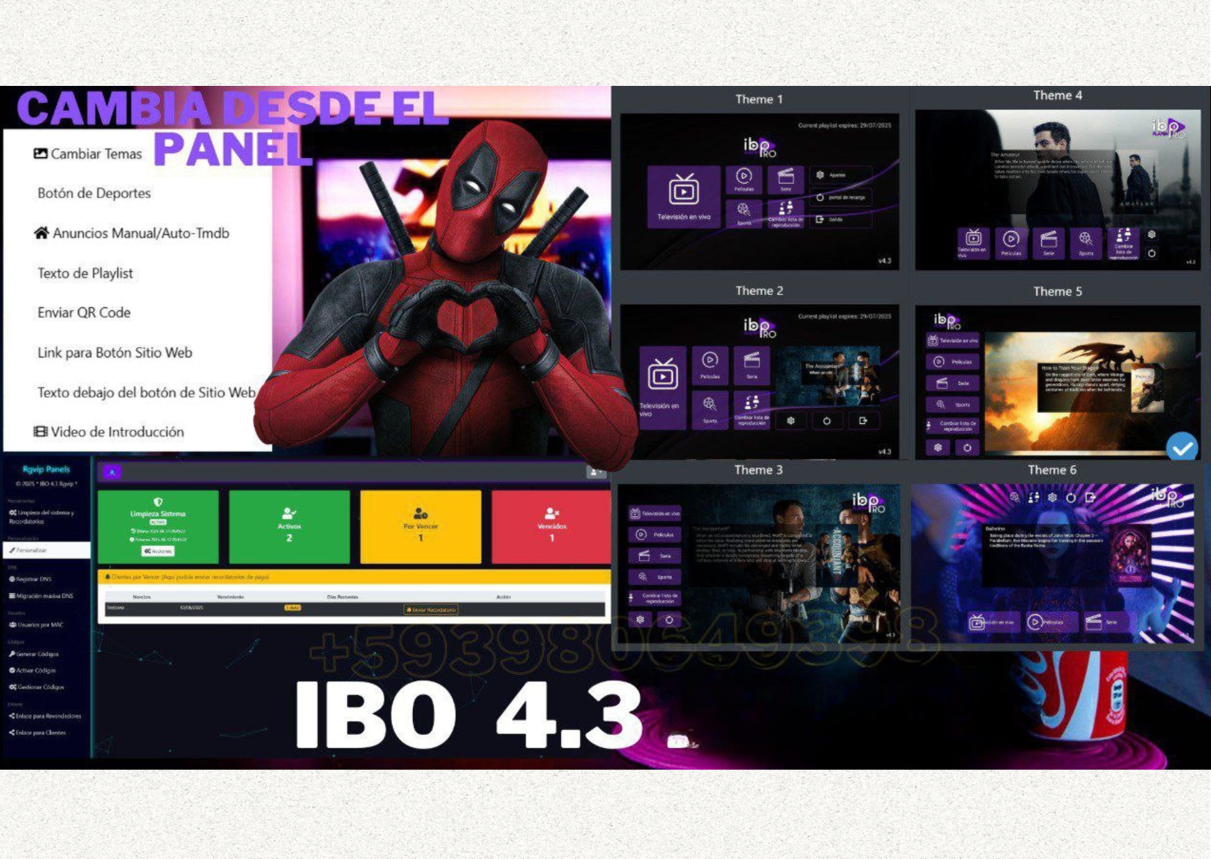 ⚜️ IBO 4.3⚜️